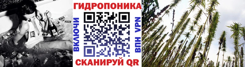 Канабис VHQ omg сайт Струнино